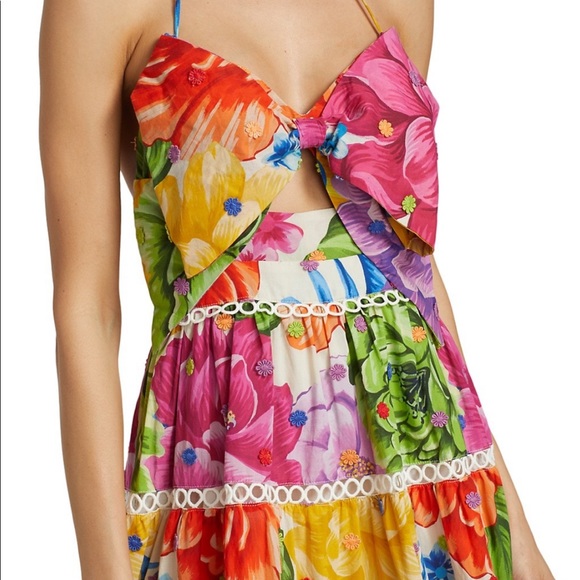 Farm Rio Rainbow Chita Floral-Print Midi Dress - Picture 12 of 16